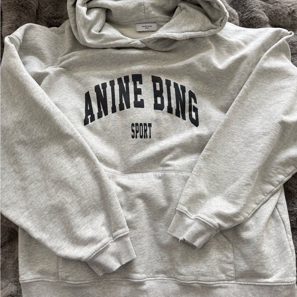 Anine Bing Light Gray Harvey Hoodie Sweatshirt